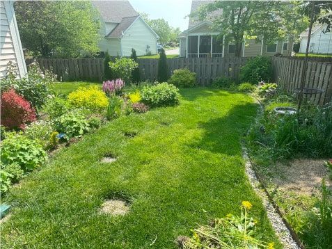 Indianapolis garden clean-up before